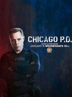 voir Chicago Police Department saison 12 épisode 11