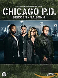 voir Chicago Police Department saison 4 épisode 15