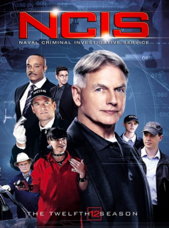 voir NCIS : Enquêtes spéciales saison 12 épisode 22