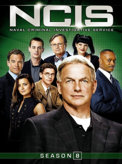 voir NCIS : Enquêtes spéciales saison 8 épisode 23