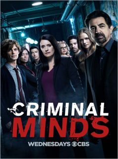 voir Esprits criminels saison 5 épisode 23