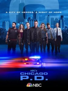 voir Chicago Police Department saison 7 épisode 14