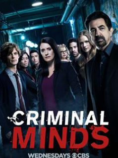 voir Esprits criminels saison 13 épisode 16