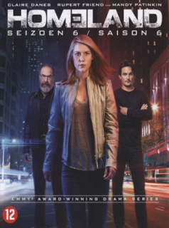 voir Homeland saison 6 épisode 9