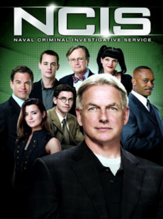 voir NCIS : Enquêtes spéciales saison 17 épisode 8