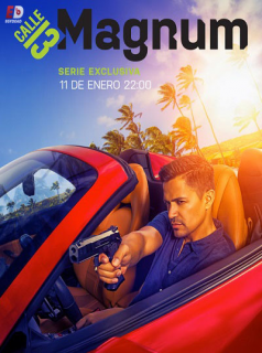 voir Magnum, P.I. (2018) Saison 3 en streaming 