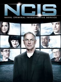 voir NCIS : Enquêtes spéciales saison 10 épisode 19