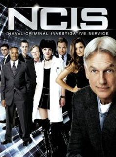 voir NCIS : Enquêtes spéciales saison 9 épisode 21