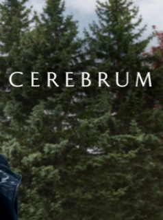 voir Cerebrum saison 3 épisode 8