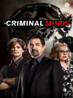 voir Esprits criminels saison 15 épisode 8