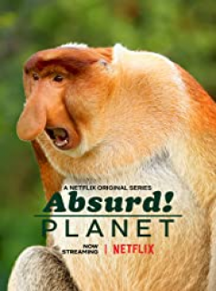 voir serie Absurd Planet en streaming