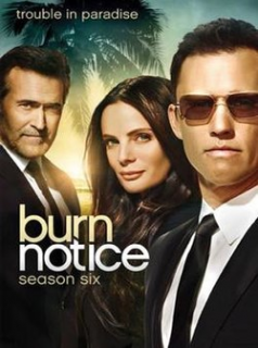 voir Burn Notice saison 6 épisode 9