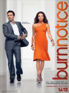 voir Burn Notice Saison 4 en streaming 