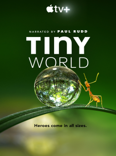 voir serie Tiny World en streaming