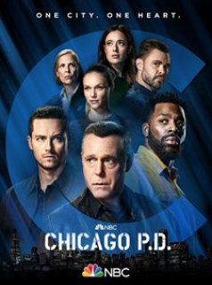 voir Chicago Police Department saison 9 épisode 23