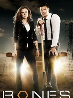 voir Bones Saison 5 en streaming 