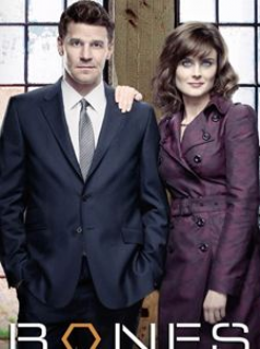 voir Bones saison 8 épisode 22