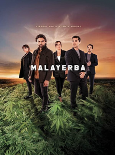 voir MALAYERBA Saison 1 en streaming 