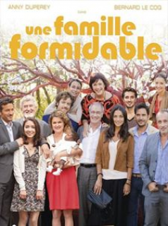 voir Une famille formidable Saison 12 en streaming 