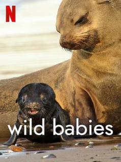 voir Wild Babies : Petits et Sauvages Saison 1 en streaming 