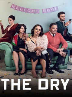 voir The Dry Saison 1 en streaming 