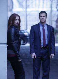 voir Unforgettable Saison 1 en streaming 