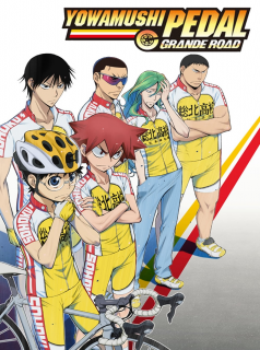 voir Yowamushi Pedal saison 4 épisode 22