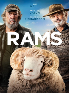 Rams