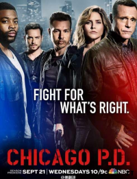 voir Chicago Police Department saison 1 épisode 2