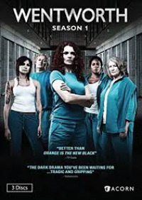 voir serie Wentworth saison 1