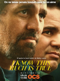 voir serie I Know This Much Is True en streaming