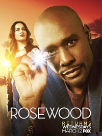 voir serie Rosewood saison 1