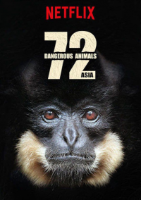 voir serie 72 animaux dangereux en Asie en streaming