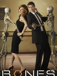 voir serie Bones saison 4