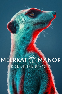 Meerkat Manor : Rise of the Dynasty