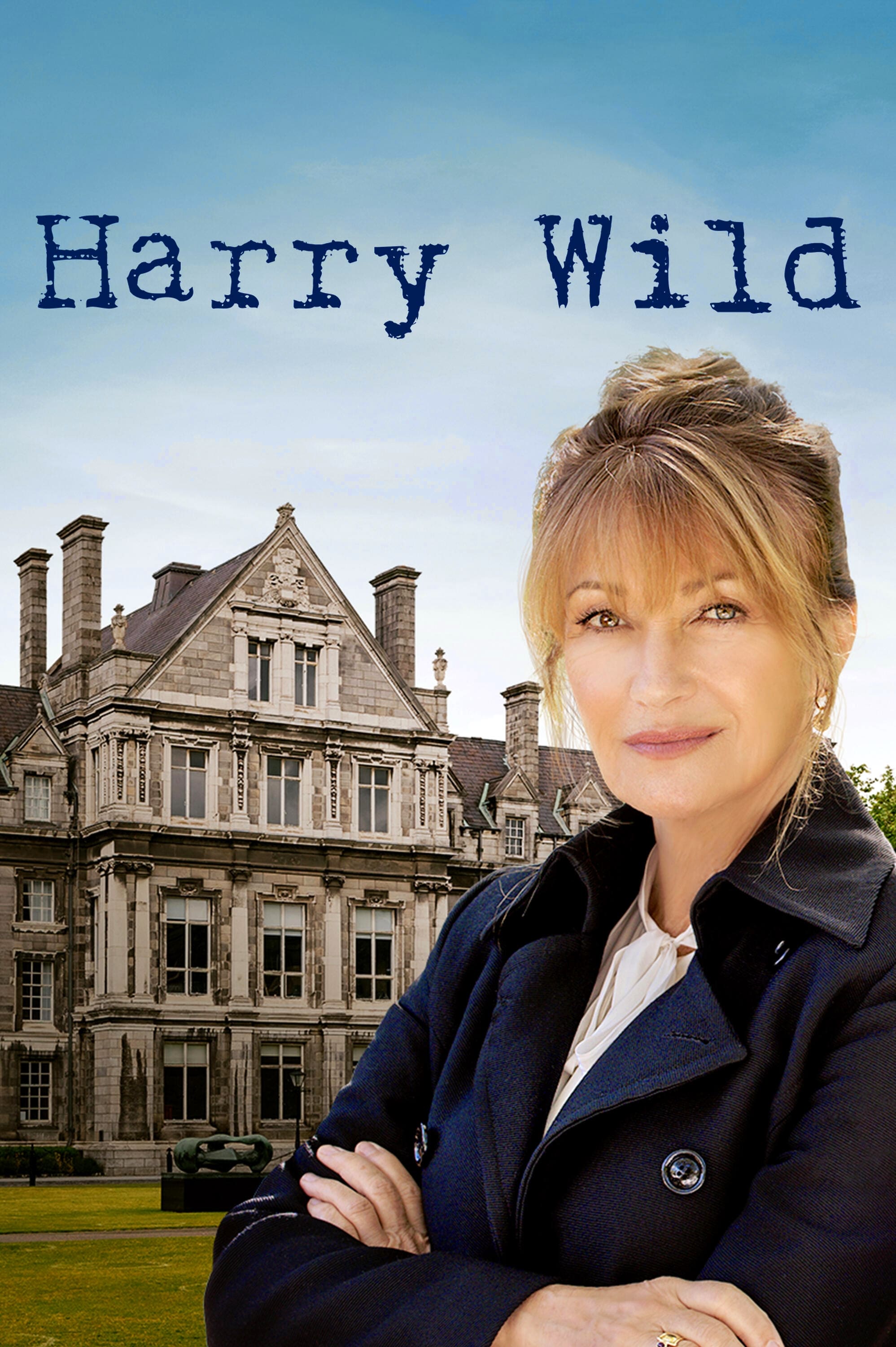 voir Harry Wild saison 1 épisode 8